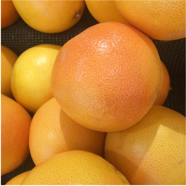 If You Take Medications, You Need To Know About Grapefruit Dr. Lori Kalie