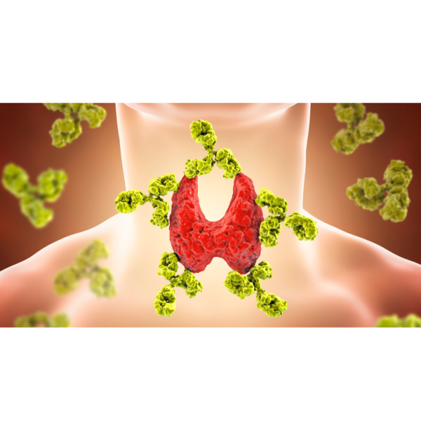 Yeast (Candida) Overgrowth- The Secret Factor Behind Your Health’s